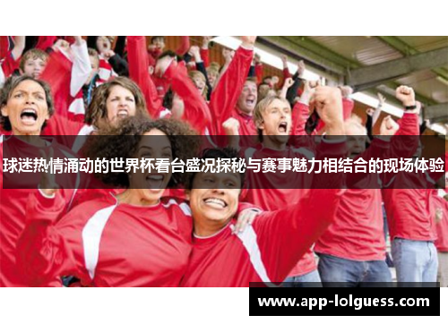 球迷热情涌动的世界杯看台盛况探秘与赛事魅力相结合的现场体验