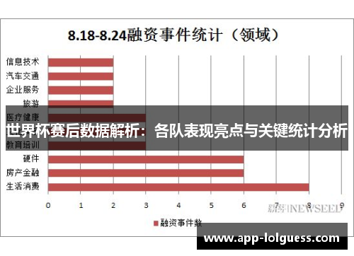 世界杯赛后数据解析：各队表现亮点与关键统计分析