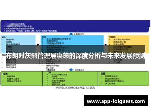 布朗对灰熊管理层决策的深度分析与未来发展预测